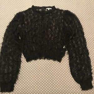 Black Chiffon Crop Top